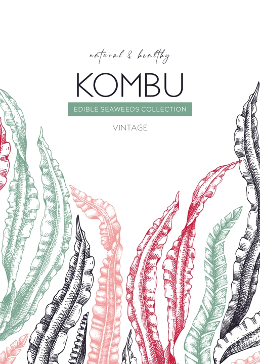 Hand drawn Kombu card design. Laminaria botanical frame. Seaweed drawing isolated on white background. Healthy food ingredients illustration. Wedding invitation template in color